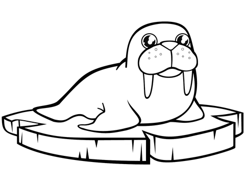 Cartoon Walrus On The Ice Floe Coloring Page